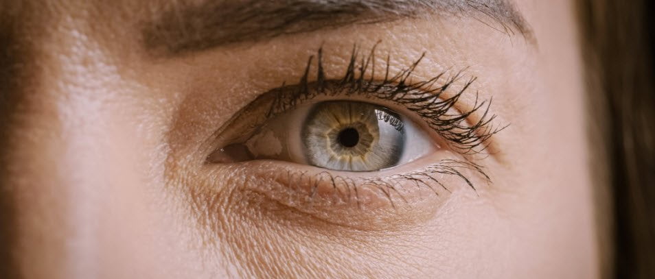 مردمکهای شما میتوانند نشانههای پنهانی در مورد عملکرد مغز شما را آشکار کنند