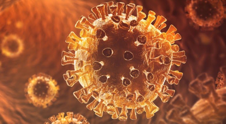ویژگی مشترک افرادی که مبتلا به کرونا یا کووید مبتلا نمیشوند، چیست؟