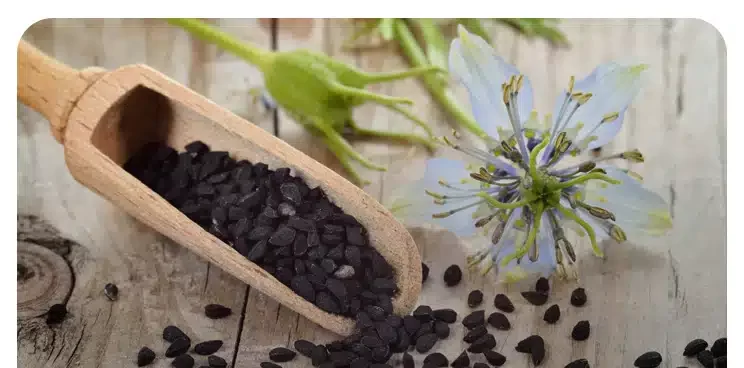 خواص سیاه دانه چیست؟ مهمترین خواص سیاه دانه