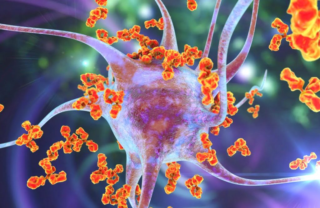 یک واکسن «معکوس»، بیماریهای خود ایمنی مانند ام اس، دیابت و آرتریت را میتواند درمان کند