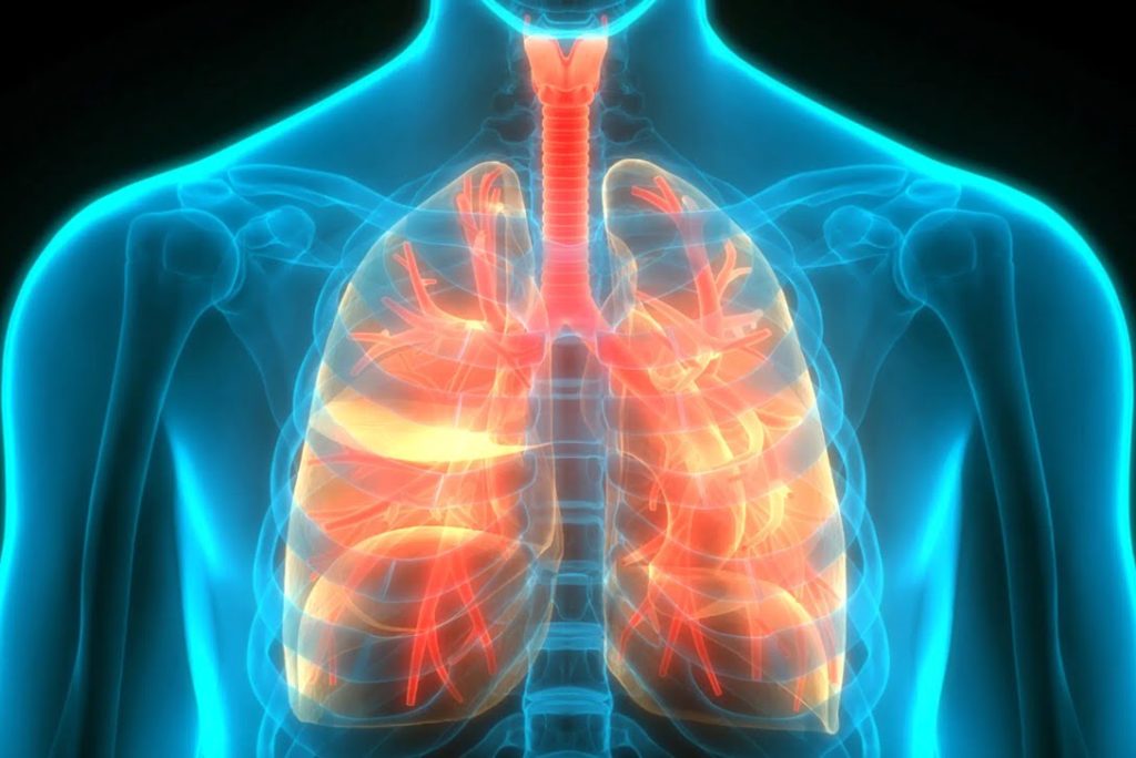 نانوذرات جدید، فناوری ویرایش ژن را مستقیماً به ریهها منتقل میکنند