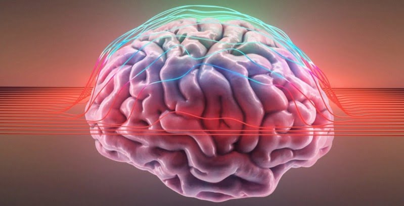 تغییر پیدا کردن مغز انسان نتیجه یک رویداد شانسی، در یک میلیون سال پیش بوده است!