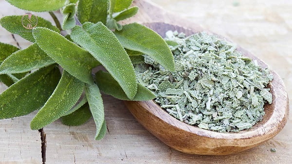 این گیاه ضدافسردگی، ضدسرفه، ضدچین و چروک پوست، ضداضطراب، ضدوسواس فکری و تقویت کننده حافظه است