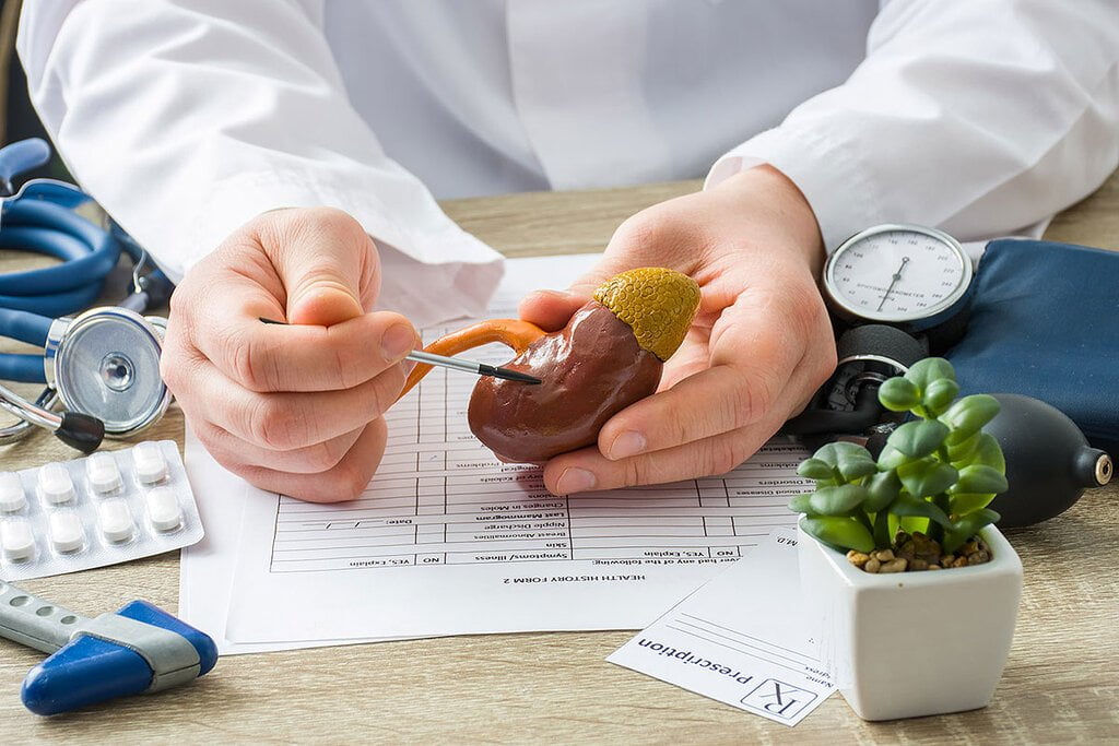 گیاهی که هم سنگ کلیه را پودر میکند هم به تقویت کلیه کمک میکند