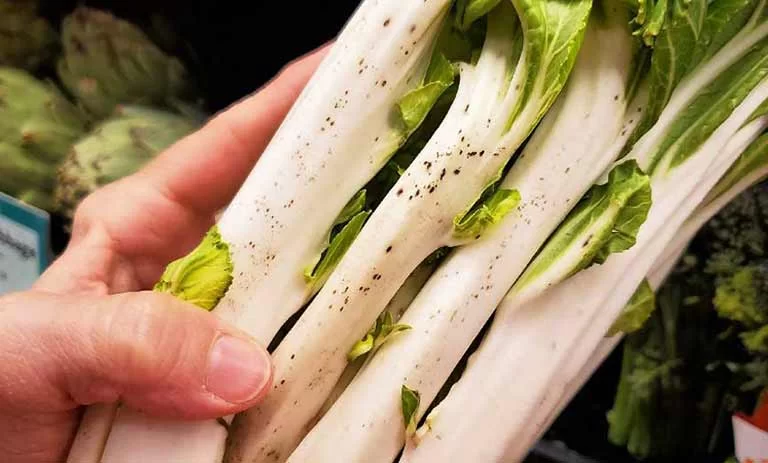 “کنگر” گنجینهای از خواص؛ از لاغری تا سلامتی کبد