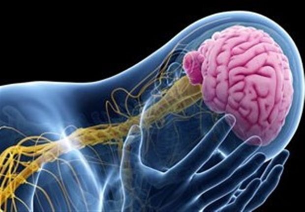 این افراد دچار صرع می شوند