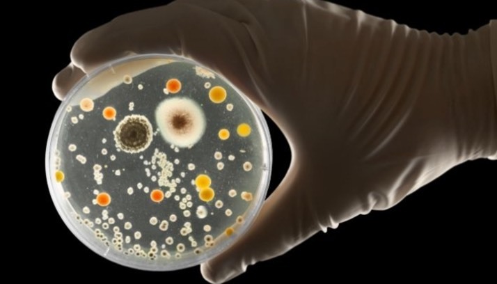 بیشتر عفونت‌های «بیمارستانی» از اینجا می‌آید!